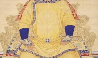 胤禛到底是一个怎样的皇帝为什么清朝的好多皇帝都是庶出的 清朝第一个皇帝